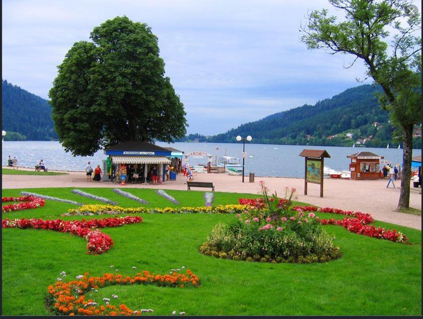 Apartment Appt 3* Le Des Lacs