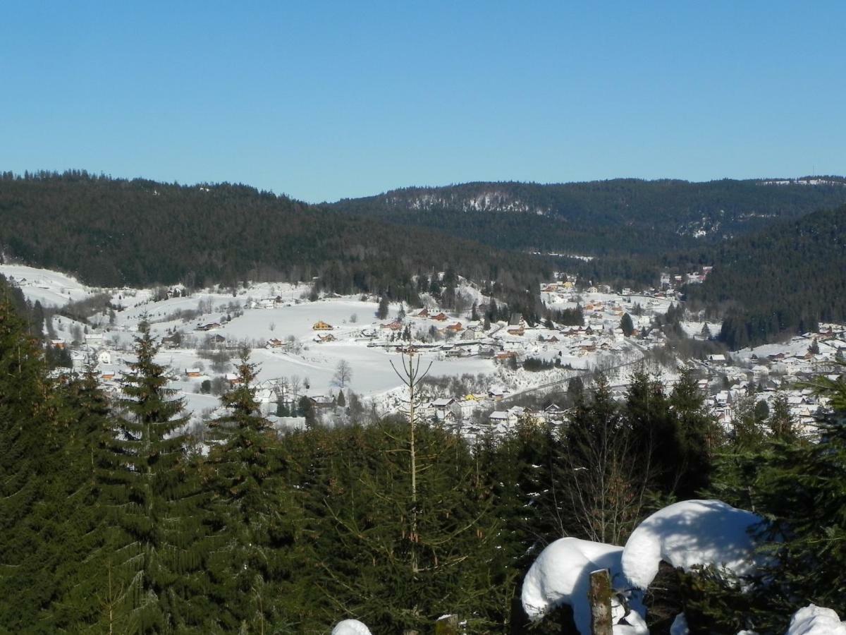 Apartment Appt 3* Le Des Lacs *