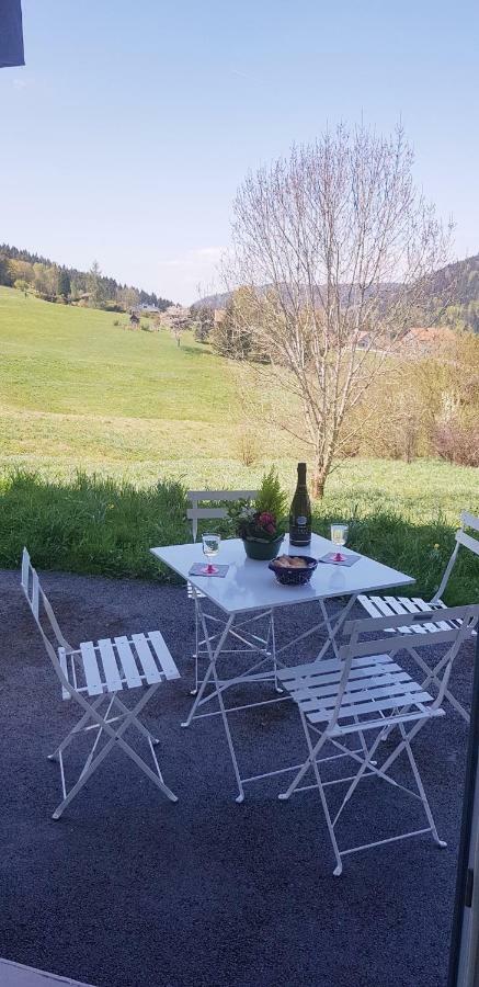 Appt 3* Le Des Lacs * Xonrupt-Longemer